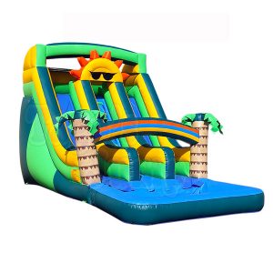 WS-131D / 17 ft / Double Line Water Slide