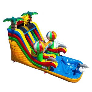 WS-246 / 18 ft / Pool Party