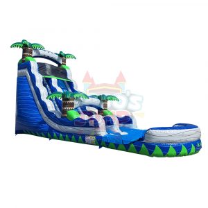 WS-091